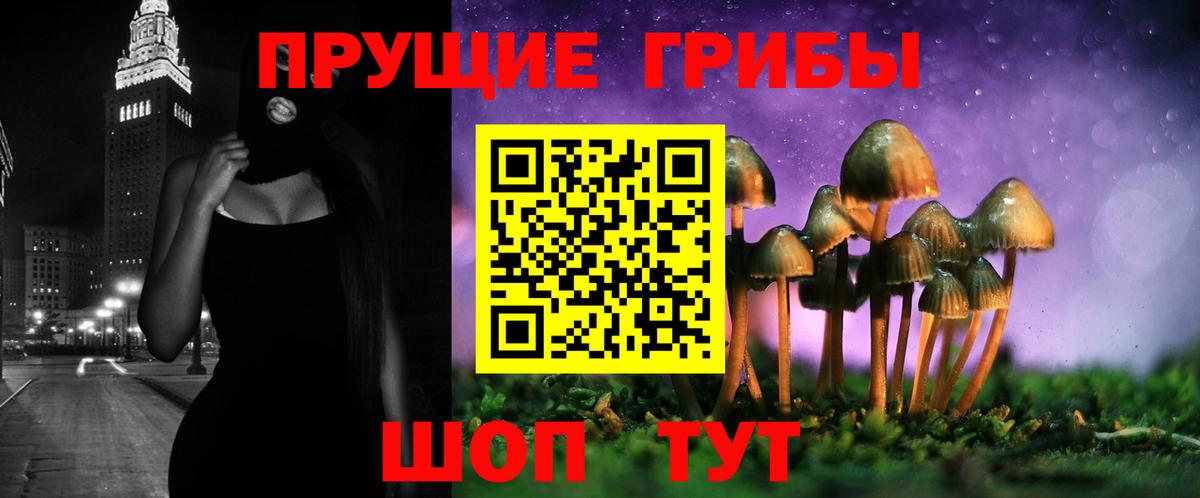 Псилоцибиновые грибы ЛСД  Вход с VPN  Барнаул  Псилоцибиновые грибы Psilocybe 